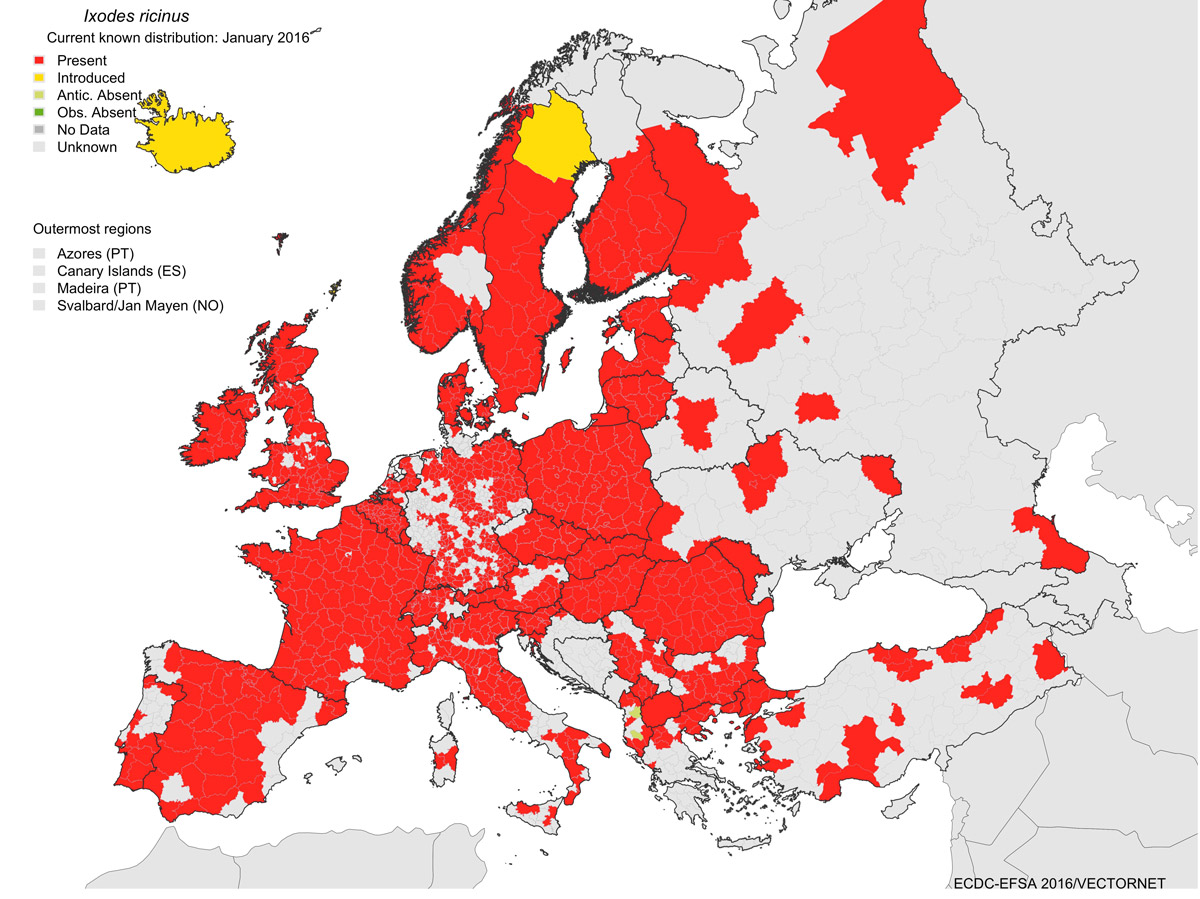 Carte de propagation de Ixodes Ricinus en Europe, ECDC janvier 2016